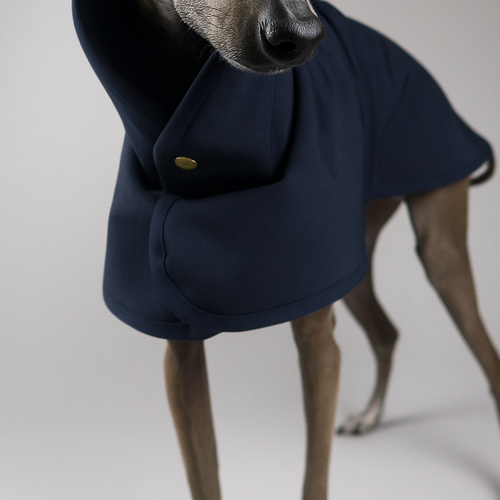Close up preview of Italian Greyhound wearing The Arlo coat in Navy Blue focusing on the neck and draping detail at the front on a grey background
