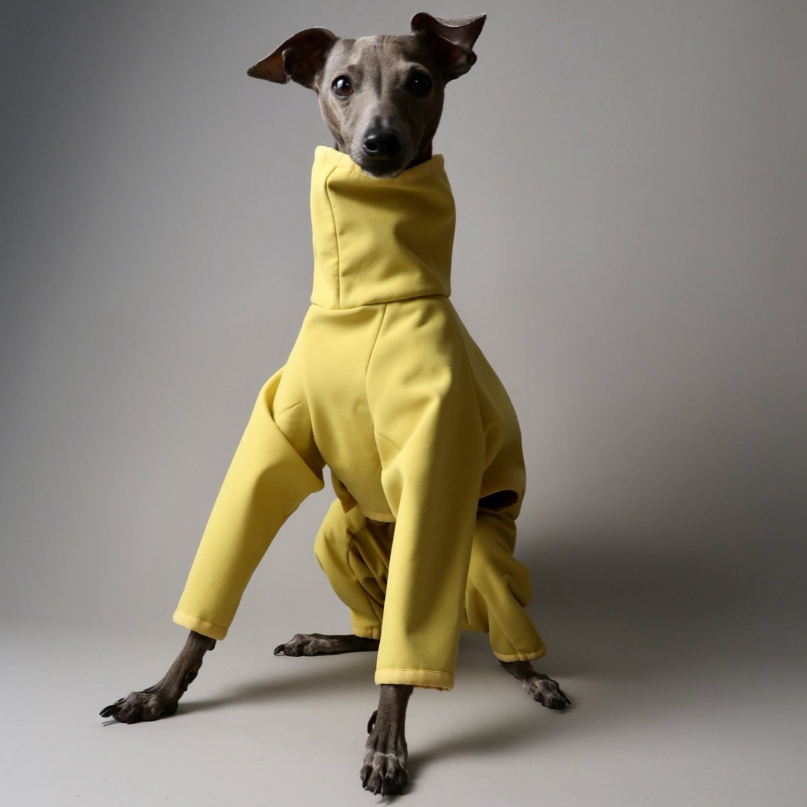 The Rae Italian Greyhound Coat Shower and Windproof – The