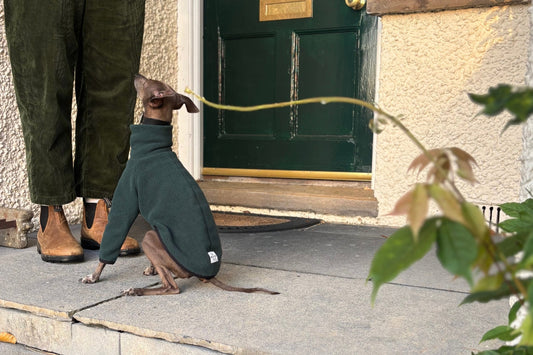 How to build a capsule winter wardrobe for your Italian Greyhound