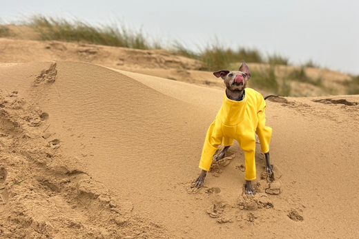 Dog-friendly spots - The Gin Trap Inn, Norfolk: A coastal cottage retreat