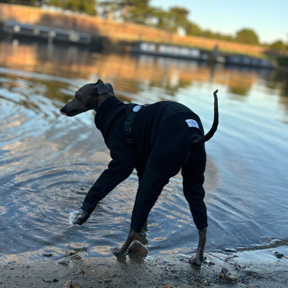 The Jean-Pierre Italian Greyhound Jumper in Black, Back and Left Side