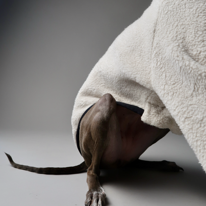 The Bernadette | Cotton Sherpa Fleece Italian Greyhound Jumper
