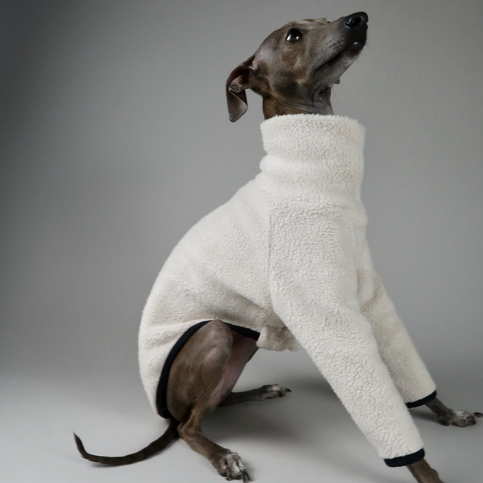 The Bernadette Cotton Sherpa Fleece Italian Greyhound Jumper