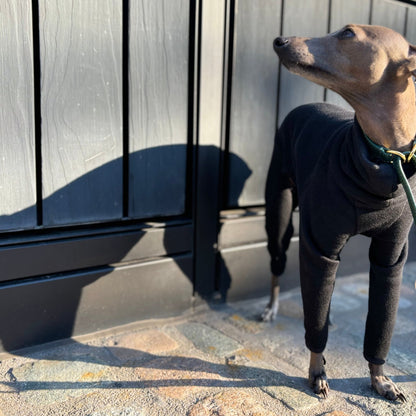 The Jean Pierre Italian Greyhound Jumper in Black, Front and Profile