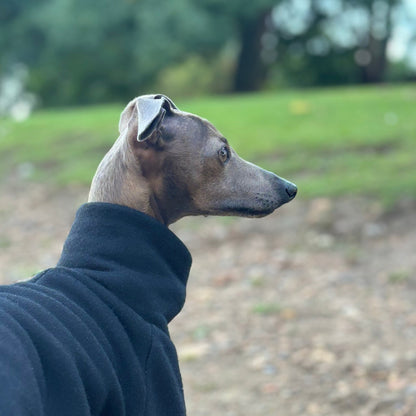 The Steve Italian Greyhound Jumper in Black, Right Side Profile Neck