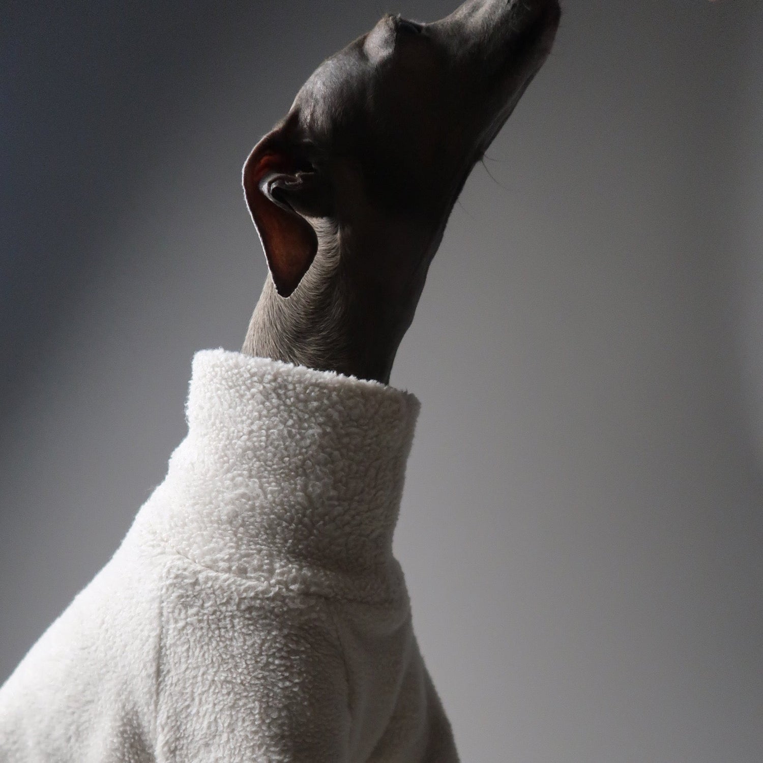 The Bernadette Natural Sherpa Fleece Italian Greyhound Jumper, Neck Close Up Stretch