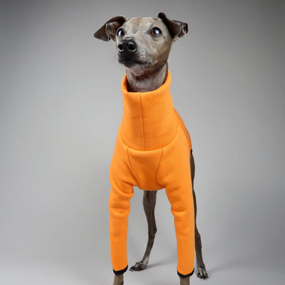 Italian Greyhound wearing an orange Italian Greyhound Jumper, The Fleur, made by The Hound Edit on a grey background.