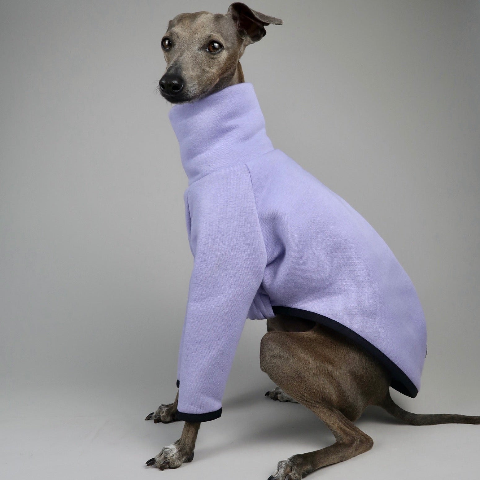 The Fleur Wisteria Left Full Body Profile, Italian Greyhound Jumper