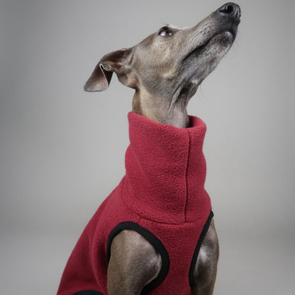 Italian Greyhound wearing a burgundy red fleece jumper, The Frankie created by The Hound Edit, against a grey background.