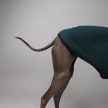 Italian Greyhound wearing a forest green sleeveless Italian Greyhound fleece, made by The Hound Edit, on a grey background. Close-up of the back and tail.