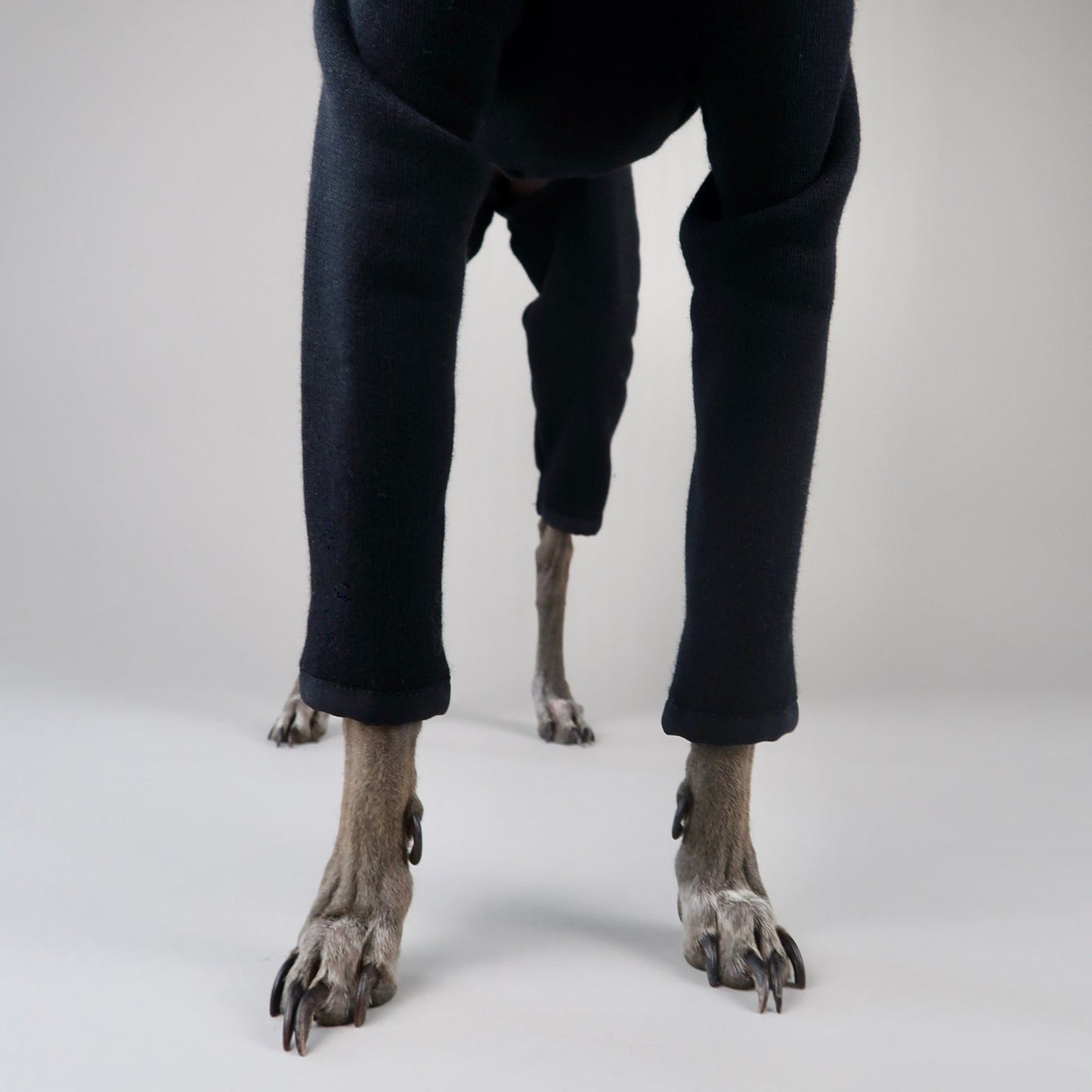 The Jean Pierre Italian Greyhound Black Jumper, Front Legs Close-Up