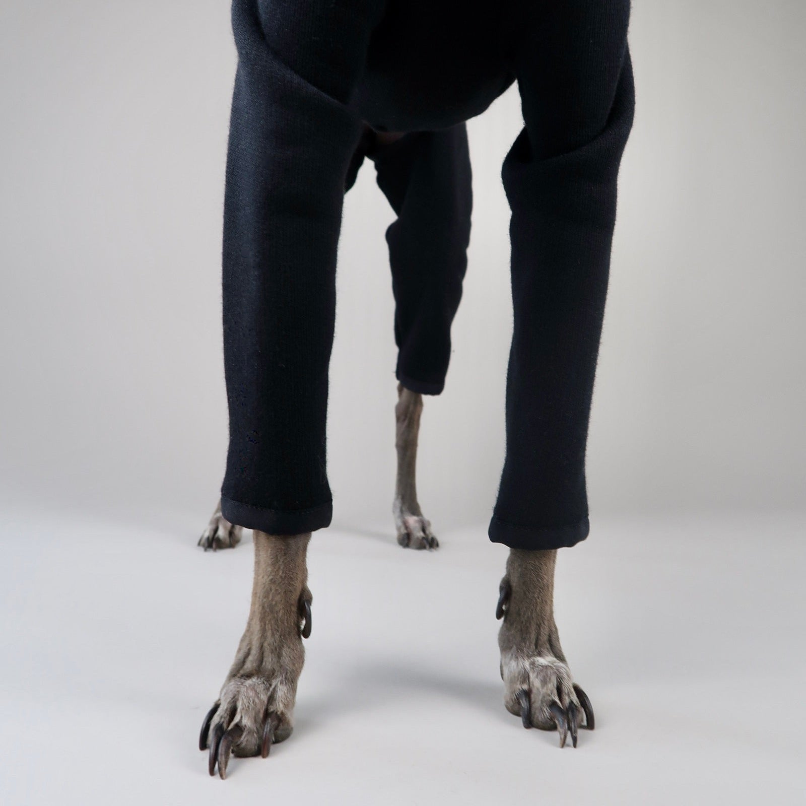 The Jean Pierre Italian Greyhound Black Jumper, Front Legs Close-Up