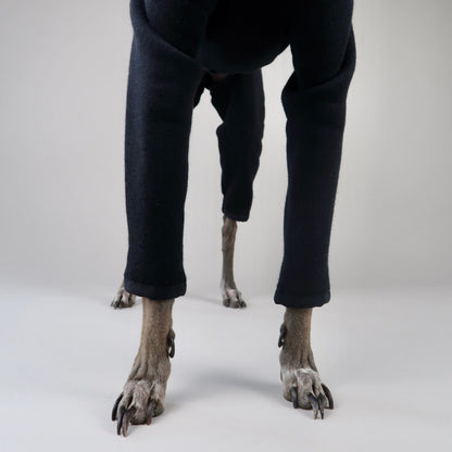The Jean Pierre Italian Greyhound Black Jumper, Front Legs Close-Up