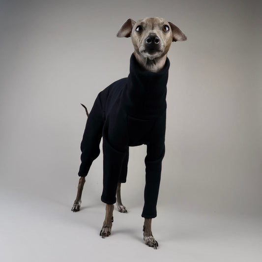 The Jean Pierre Front Standing Portrait,  Italian Greyhound Black Jumper