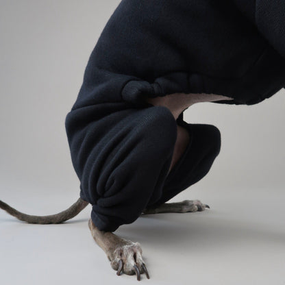 The Jean Pierre Italian Greyhound Black Jumper, Sitting Close Up Back Legs
