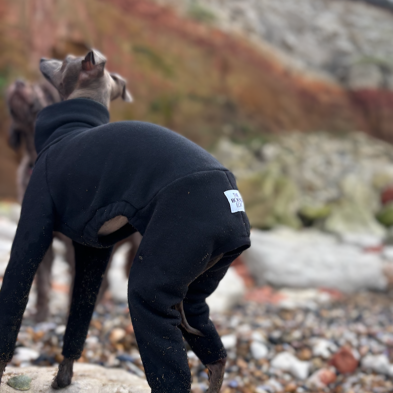 The Jean-Pierre Treats Hunstanton Beach, Italian Greyhound Jumper