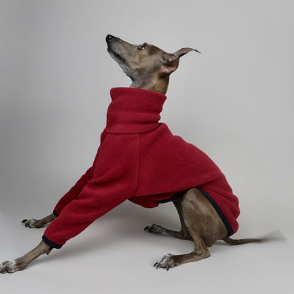 Full-body side profile of an Italian Greyhound wearing an Italian Greyhound fleece jumper in burgundy red in front of a grey backdrop