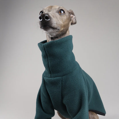 Close-up of Italian Greyhound wearing an Italian Greyhound fleece jumper in forest green in front of a grey backdrop