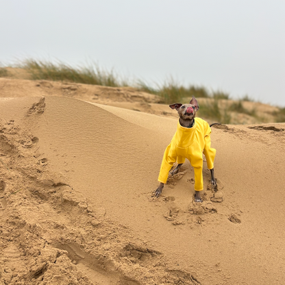 The Rae Front Dune Holkham Beach, Italian Greyhound Coat