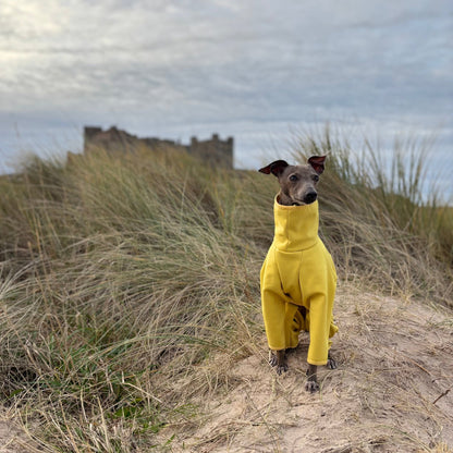 The Rae Italian Greyhound Coat, Front, Bamburgh Castle, The Hound Edit