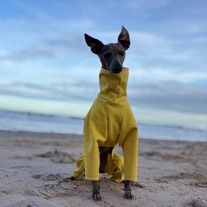 The Rae Italian Greyhound Coat, Bamburgh Beach, The Hound Edit