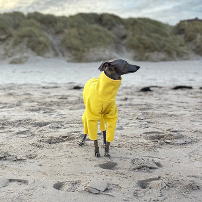 The Rae Italian Greyhound Coat, Front Left Side, Bamburgh Beach, The Hound Edit