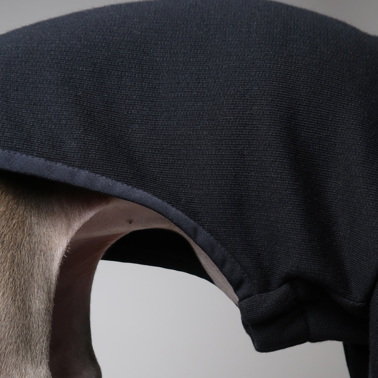 Close up of the right side of the belly an Italian Greyhound wearing black Italian Greyhound jumper, The Steve, made by The Hound Edit against a grey backdrop.