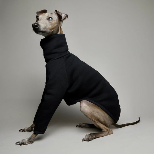The Steve Left Side Profile, Italian Greyhound Jumper