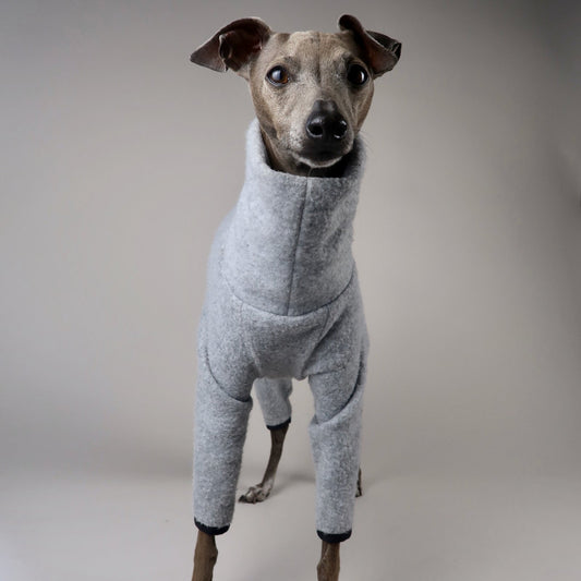 Front view of an Italian Greyhound wearing The Monty grey melange four-leg fleece, showing the high neck and front-leg fit.