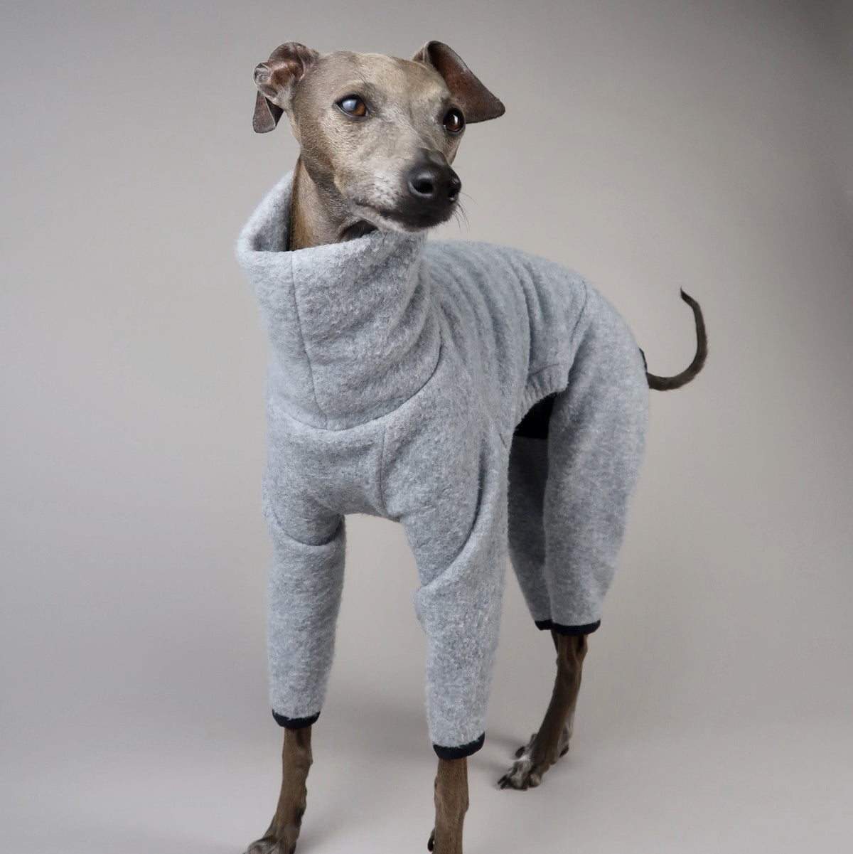 Three-quarter view of an Italian Greyhound wearing The Monty grey melange fleece with a high neck and close-fitting four-leg design.