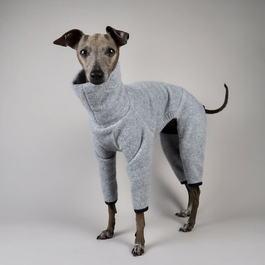Italian Greyhound wearing The Monty grey melange four-leg fleece, showing its close-fitting shape and full leg coverage.